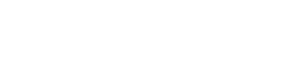 Newage Accounting